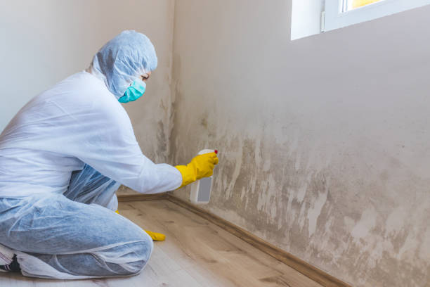 Commercial Mold Remediation assessment for commercial property in Fulton